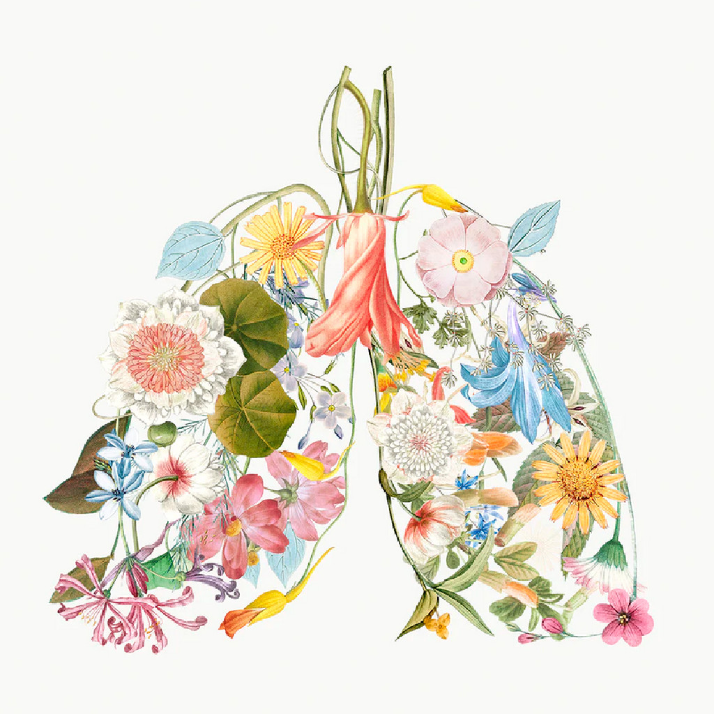 Respira, inspira, revino la viata – Seminar de respiratie constienta
